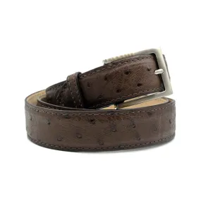 73-101-BRN OSTRICH QUILL Belt, Brown