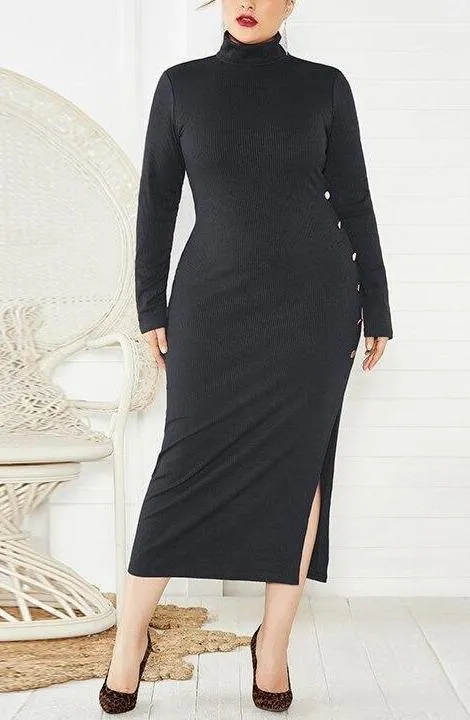 Turtleneck Long-Sleeve Midi Dress